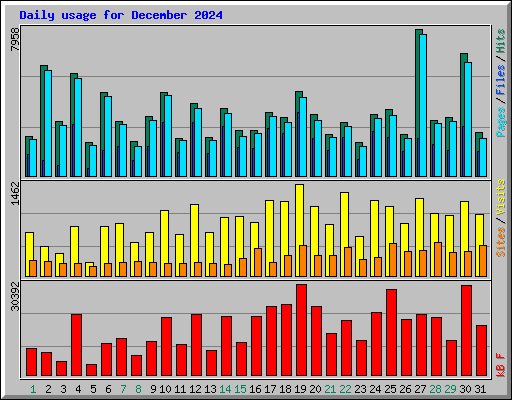 Daily usage for December 2024