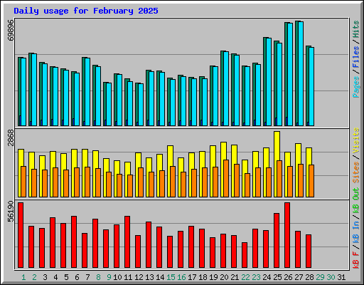 Daily usage for February 2025
