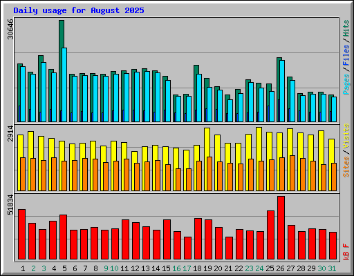 Daily usage for August 2025