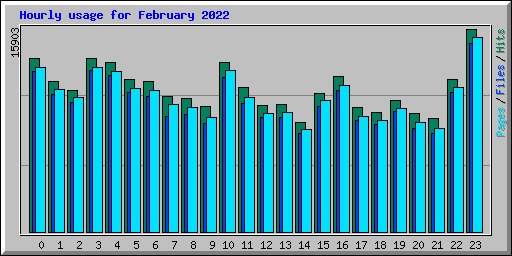 Hourly usage for February 2022