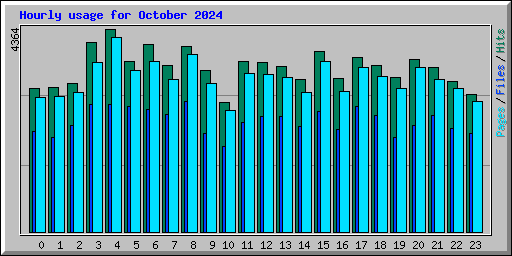 Hourly usage for October 2024