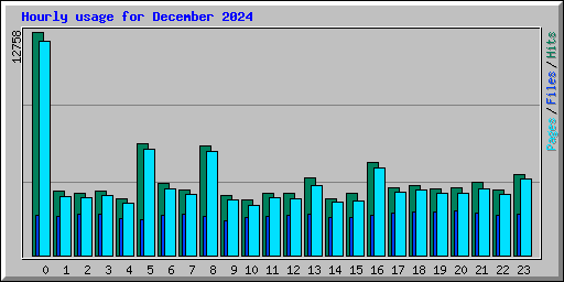 Hourly usage for December 2024