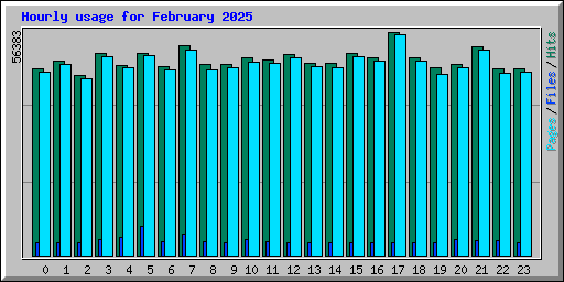 Hourly usage for February 2025