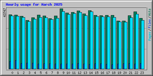 Hourly usage for March 2025