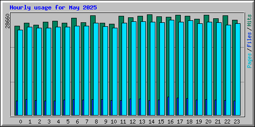 Hourly usage for May 2025