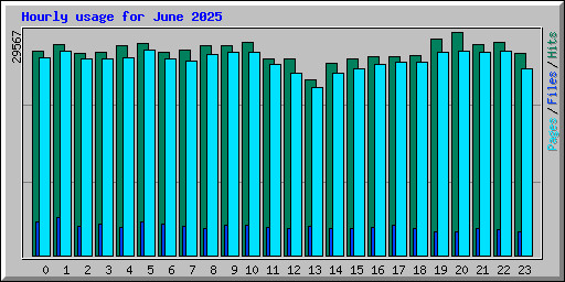 Hourly usage for June 2025