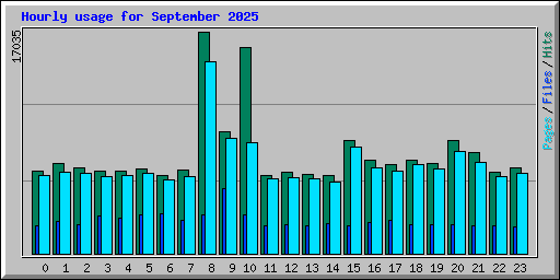 Hourly usage for September 2025