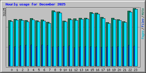 Hourly usage for December 2025