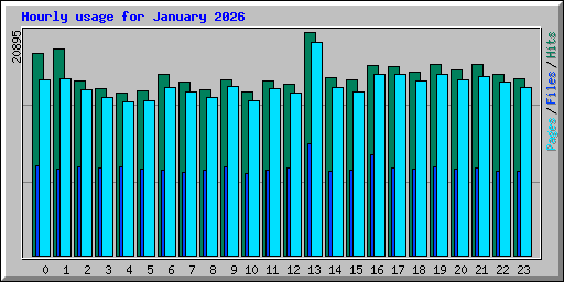 Hourly usage for January 2026