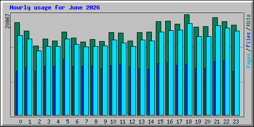 Hourly usage for June 2026