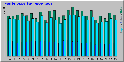 Hourly usage for August 2026
